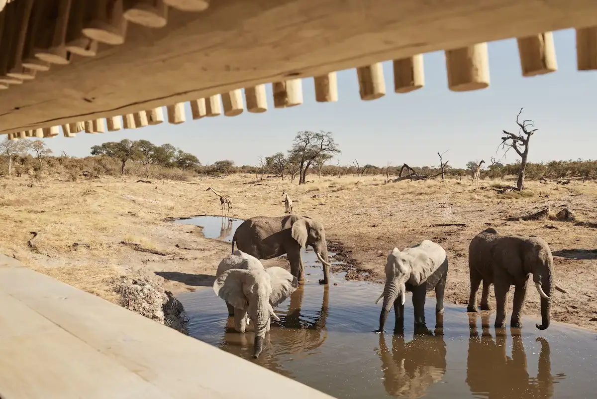 KORE - Savute Elephant Lodge