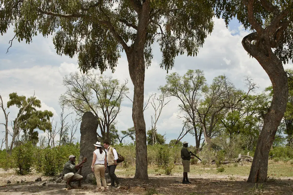 KORE - Savute Elephant Lodge