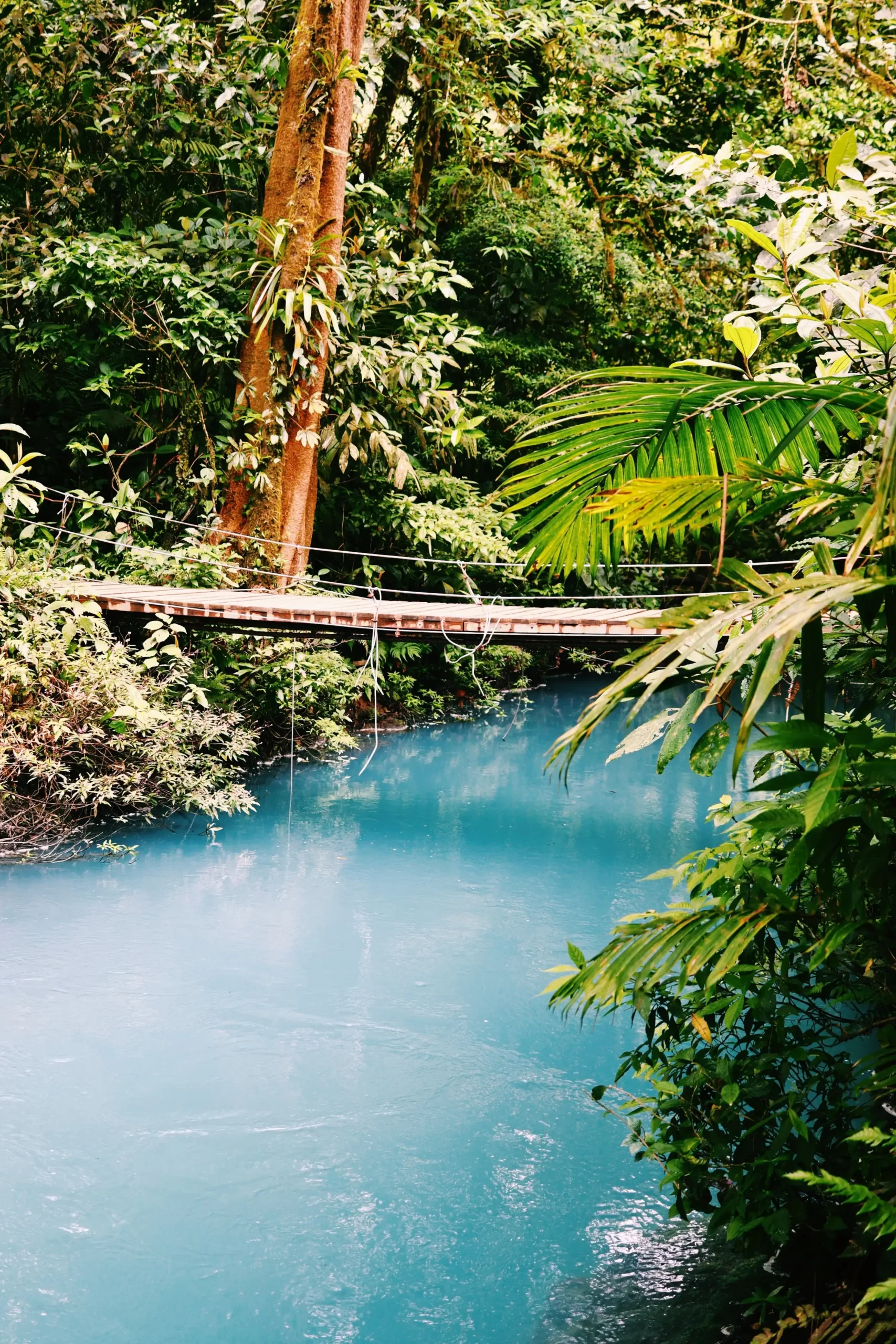 KORE - Rio Celeste Hideaway Hotel