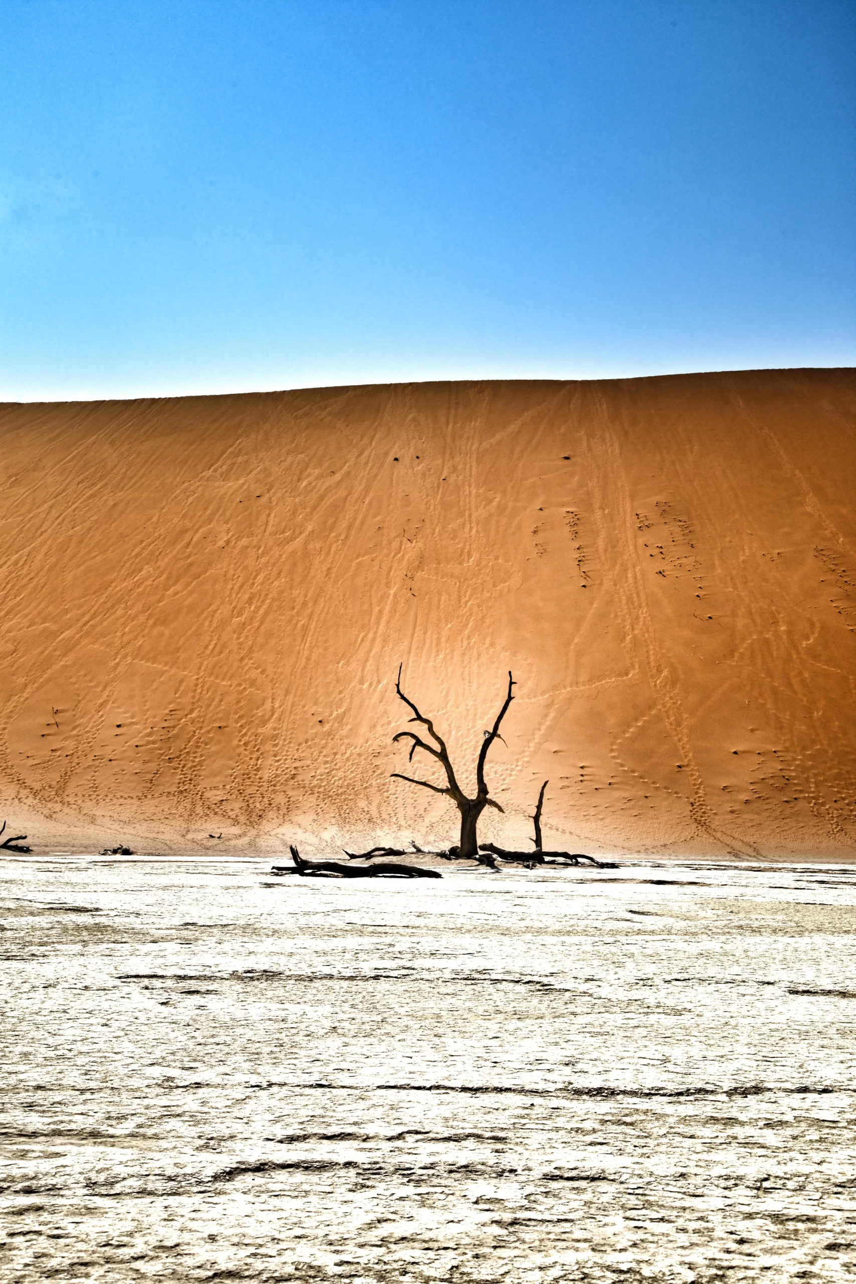 KORE - Sossusvlei Desert Lodge