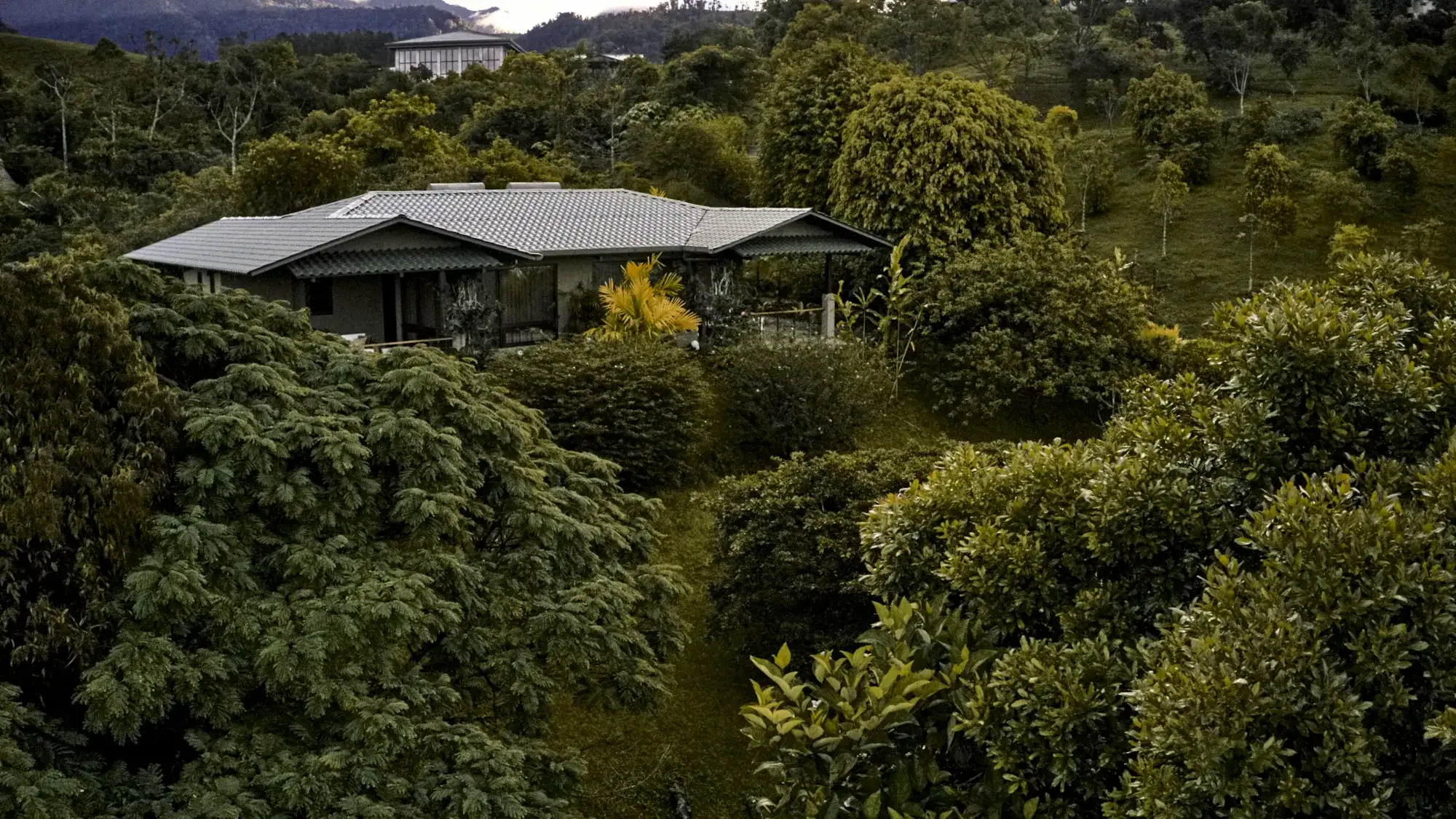 KORE - Hacienda AltaGracia