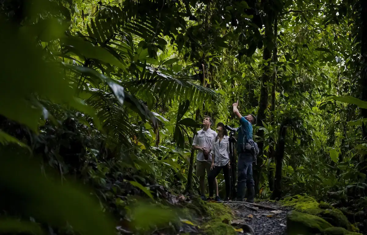 KORE - Rio Celeste Hideaway Hotel