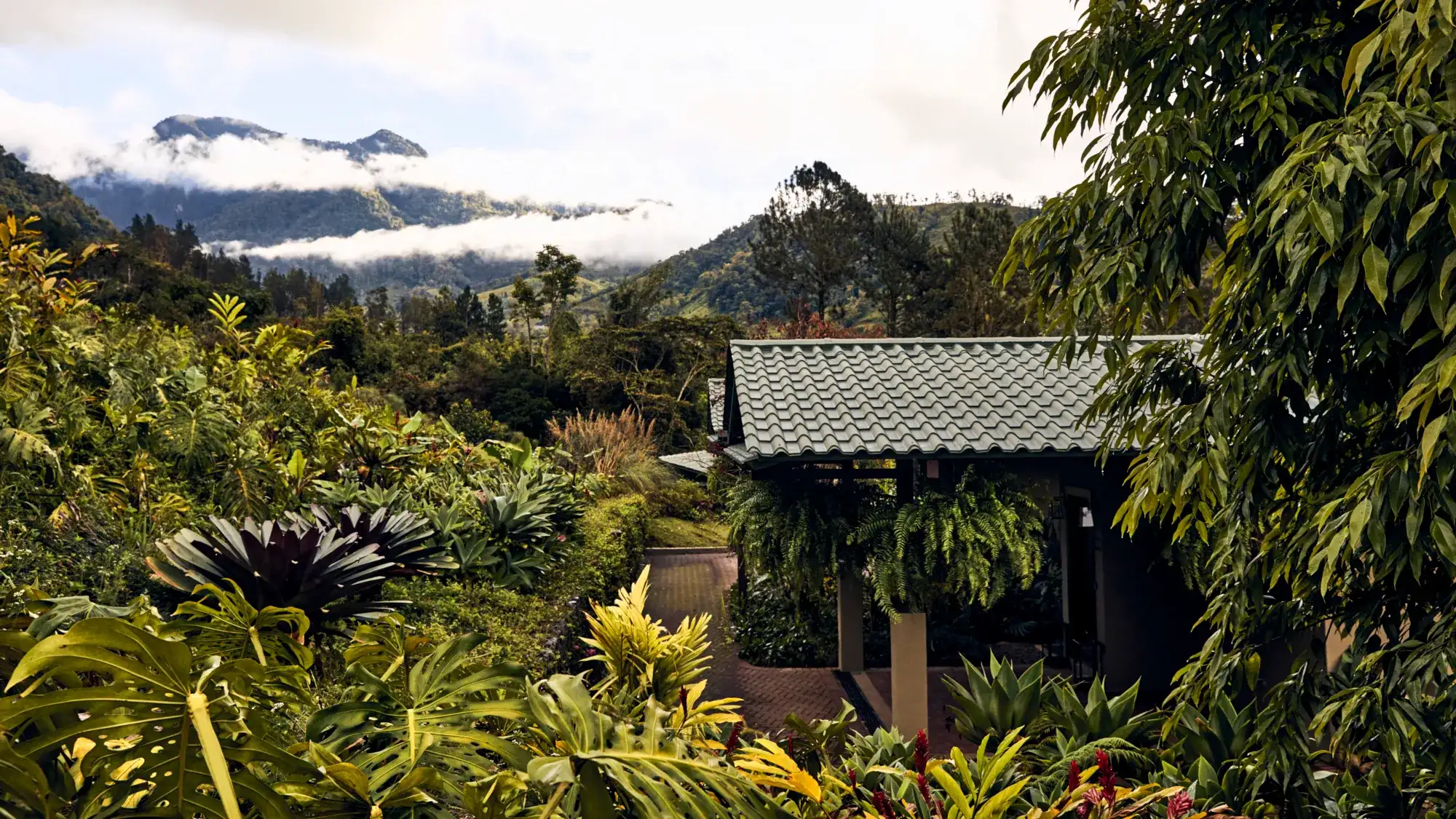 KORE - Hacienda AltaGracia