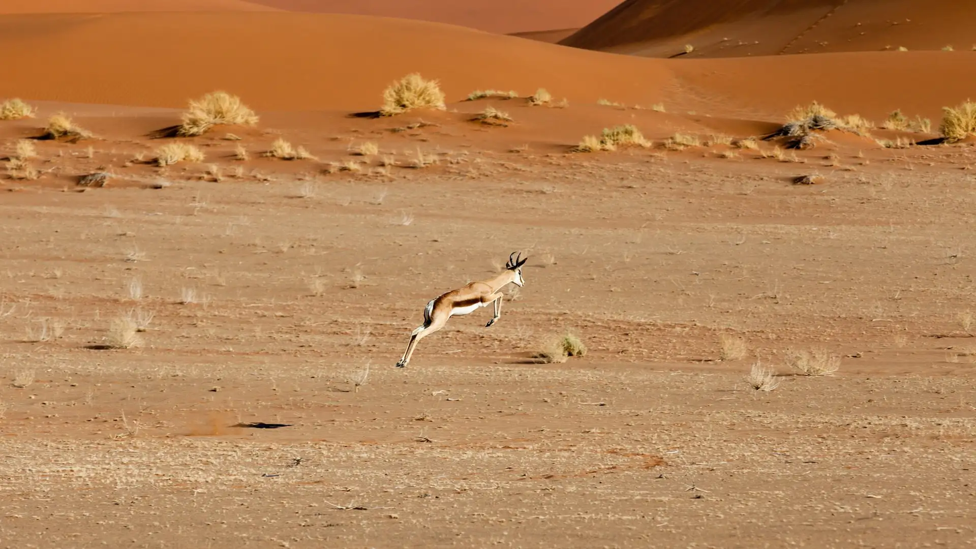 KORE - Sossusvlei Desert Lodge