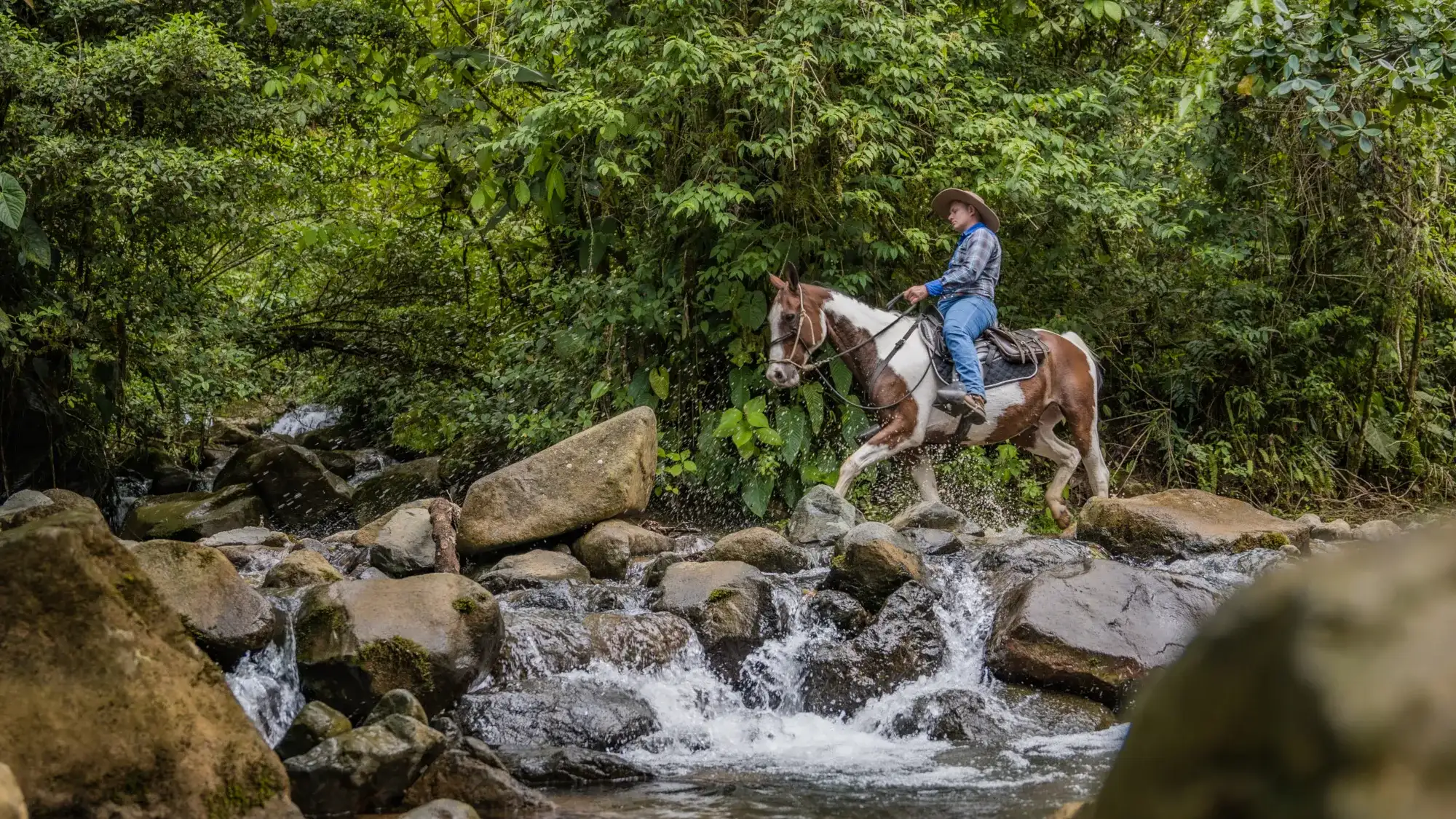 KORE - Hacienda AltaGracia