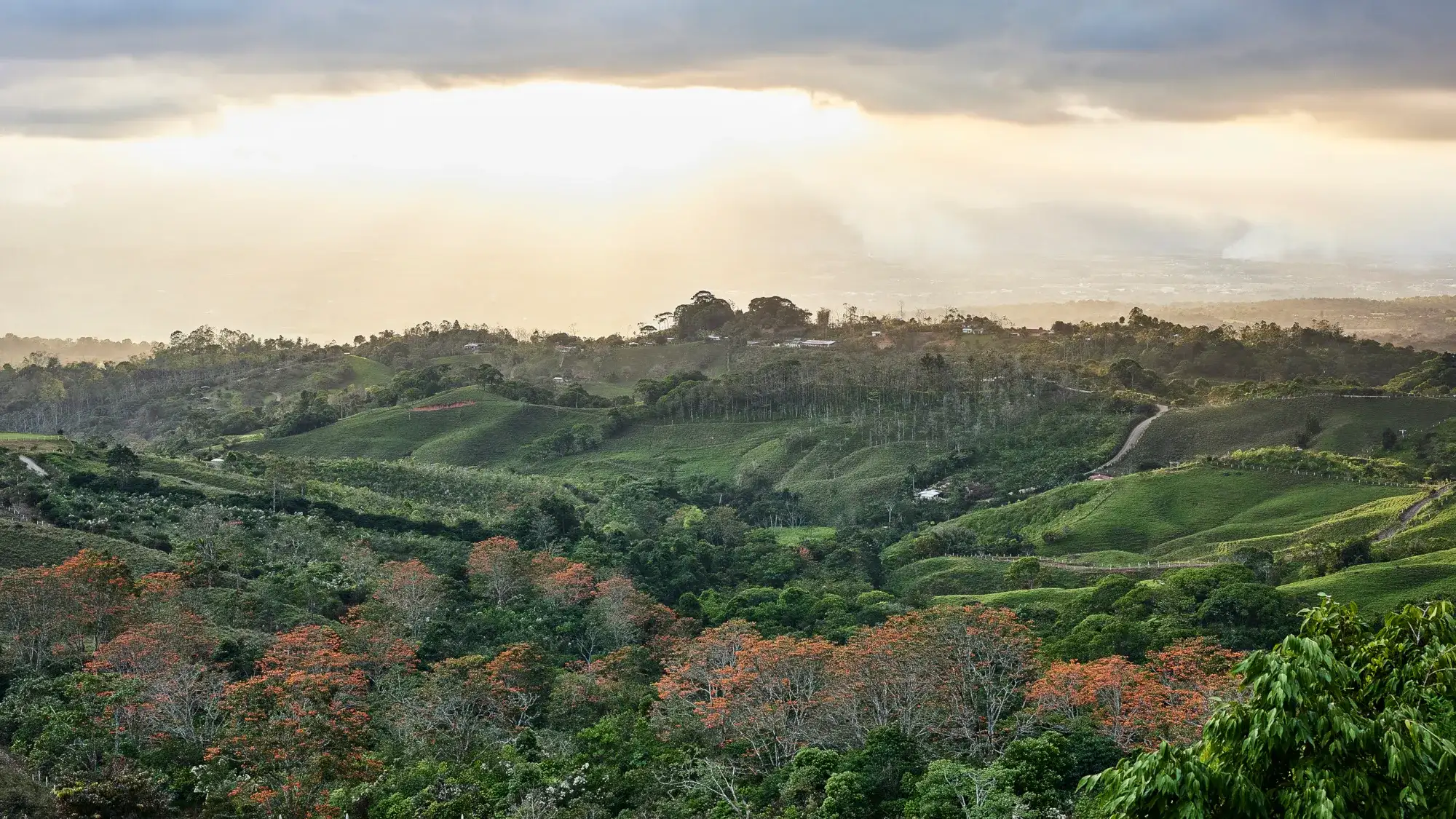 KORE - Hacienda AltaGracia