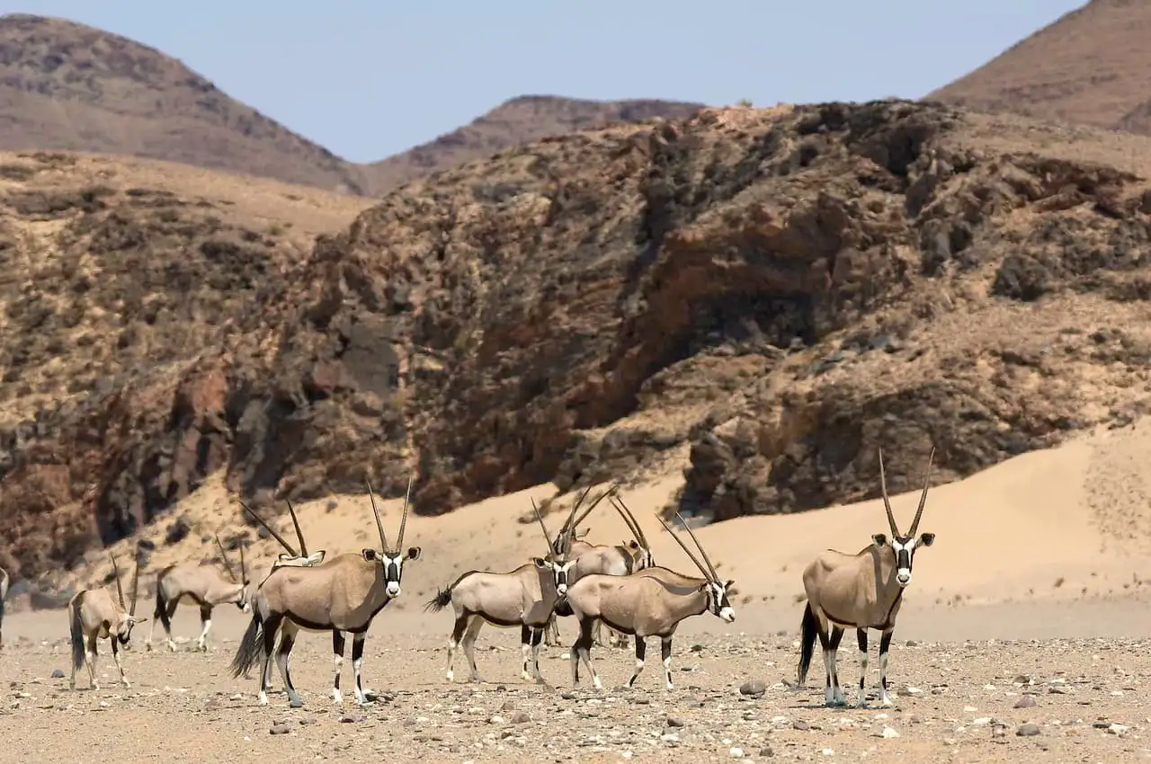 KORE - Hoanib Skeleton Coast Camp