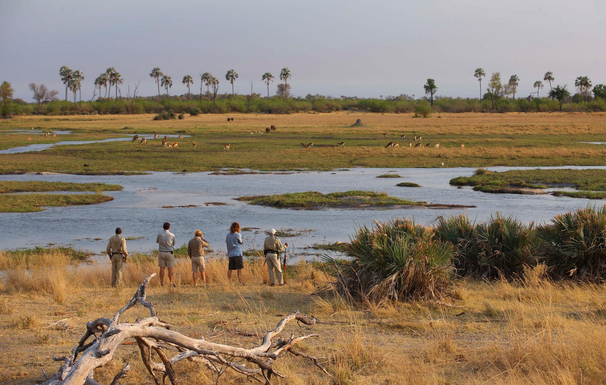 Kore Traveler - Okavango Delta