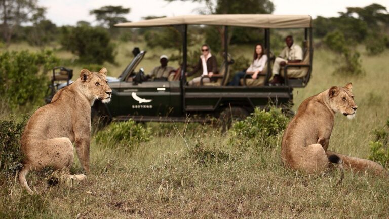 Kore Traveler - Serengeti National Park