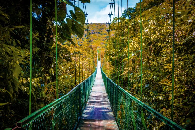 Kore Traveler - Monteverde Costa Rica